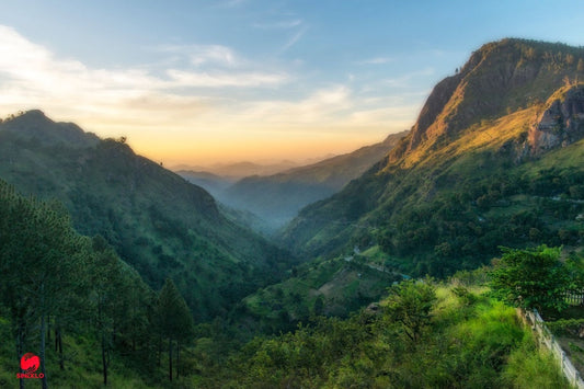 Beyond the Beaches: Discover the Soul of Sri Lanka Through Its People